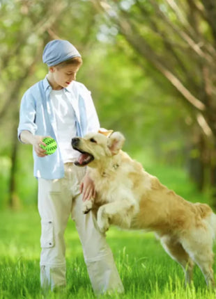 Dog Toy Ball Interactive Rubber Balls Puppy Chewing Toys Pet Tooth Cleaning Ball Cats Pets Food Treat Feeder Silicone Balls Toy