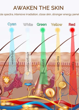 Wireless 7 Colors LED Face Beauty Machine Photon Facial Neck Skin Tighten Rejuvenation Facial Neck Mask