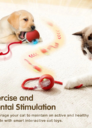 Cat Interactive Ball Toy, Automatic Rolling Ball with Tail, Rechargeable Smart Pet Interactive Toy, Intelligent Mouse for Cat