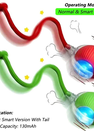 Cat Interactive Ball Toy, Automatic Rolling Ball with Tail, Rechargeable Smart Pet Interactive Toy, Intelligent Mouse for Cat