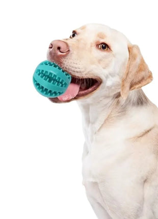 Dog Toy Ball Interactive Rubber Balls Puppy Chewing Toys Pet Tooth Cleaning Ball Cats Pets Food Treat Feeder Silicone Balls Toy