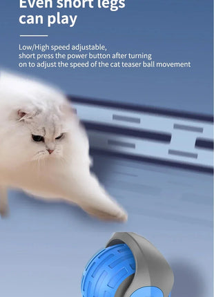 Automatic Rolling Ball Interactive Ball Cat Toys Pet Supplies Electric Dog Training Cat Teaser simulated Rat Rechargeable