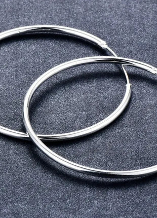 Women 100% 925 sterling silver Hoop Earring Round Circle Loop Gifts Box Packing Simple Silver Hoop Earrings Piercing