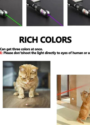 2-in-1 Mini Laser Pointer LED Pet Training Flashlight Scratching Toys for Pets and Cats Christmas Gifts