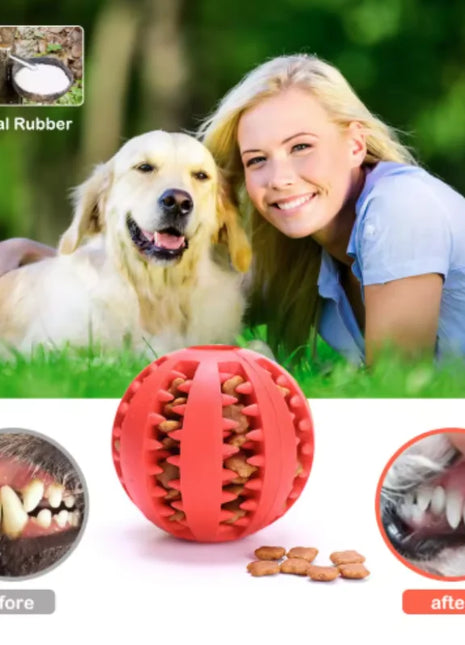 Dog Toy Ball Interactive Rubber Balls Puppy Chewing Toys Pet Tooth Cleaning Ball Cats Pets Food Treat Feeder Silicone Balls Toy