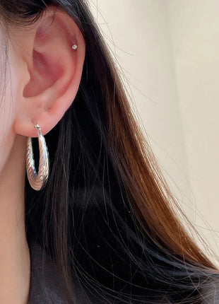 BF CLUB 925 Sterling Silver Sparckling Earrings For Women Trendy Earring Jewelry Prevent Allergy Party Accessories Gift