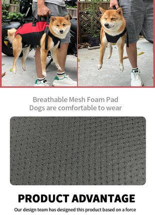 Pet Travel Backpack(3 sizes) Shoulder Carrier Outdoor Hiking Walking Durable Comfortable Oxford Fabric Dog/Cat Carrier
