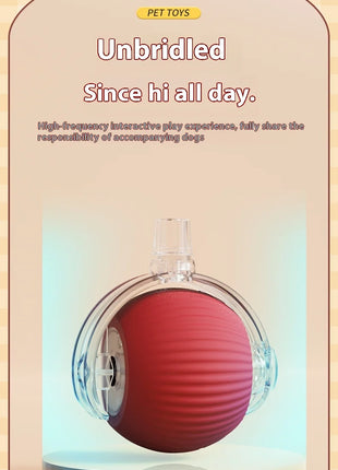 Cat Interactive Ball Toys Automatic Rolling Ball Faux Tail Rechargeable Smart Pet Electric Toy Dog Cat Training Imitate Mouse