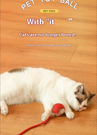 Cat Interactive Ball Toys Automatic Rolling Ball Faux Tail Rechargeable Smart Pet Electric Toy Dog Cat Training Imitate Mouse