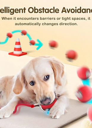 Cat Interactive Ball Toy, Automatic Rolling Ball with Tail, Rechargeable Smart Pet Interactive Toy, Intelligent Mouse for Cat