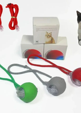 Automatic Rolling Ball Interactive Ball Cat Toys Pet Supplies Electric Dog Training Cat Teaser simulated Rat Rechargeable