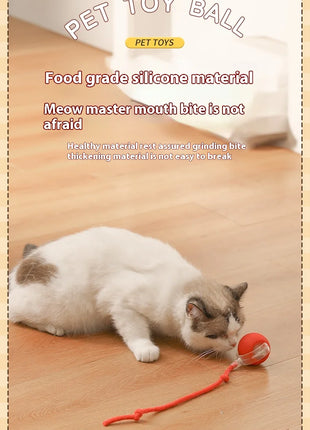 Cat Interactive Ball Toys Automatic Rolling Ball Faux Tail Rechargeable Smart Pet Electric Toy Dog Cat Training Imitate Mouse
