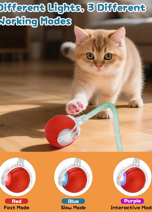 Cat Interactive Ball Toy, Automatic Rolling Ball with Tail, Rechargeable Smart Pet Interactive Toy, Intelligent Mouse for Cat