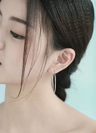 Women 100% 925 sterling silver Hoop Earring Round Circle Loop Gifts Box Packing Simple Silver Hoop Earrings Piercing