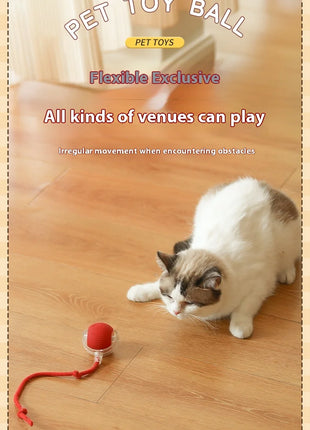Cat Interactive Ball Toys Automatic Rolling Ball Faux Tail Rechargeable Smart Pet Electric Toy Dog Cat Training Imitate Mouse