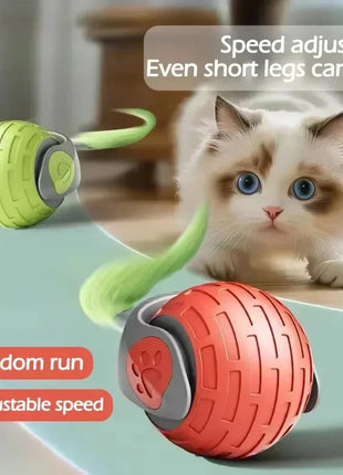 Automatic Rolling Ball Interactive Ball Cat Toys Pet Supplies Electric Dog Training Cat Teaser simulated Rat Rechargeable