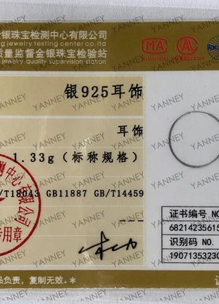 Women 100% 925 sterling silver Hoop Earring Round Circle Loop Gifts Box Packing Simple Silver Hoop Earrings Piercing