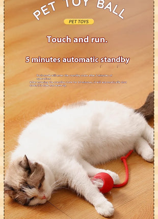Cat Interactive Ball Toys Automatic Rolling Ball Faux Tail Rechargeable Smart Pet Electric Toy Dog Cat Training Imitate Mouse
