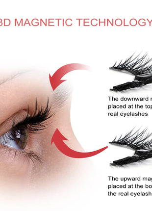 Glue Free Reusable Magnetic Eye Lashes