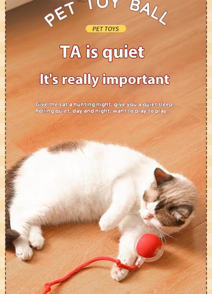 Cat Interactive Ball Toys Automatic Rolling Ball Faux Tail Rechargeable Smart Pet Electric Toy Dog Cat Training Imitate Mouse